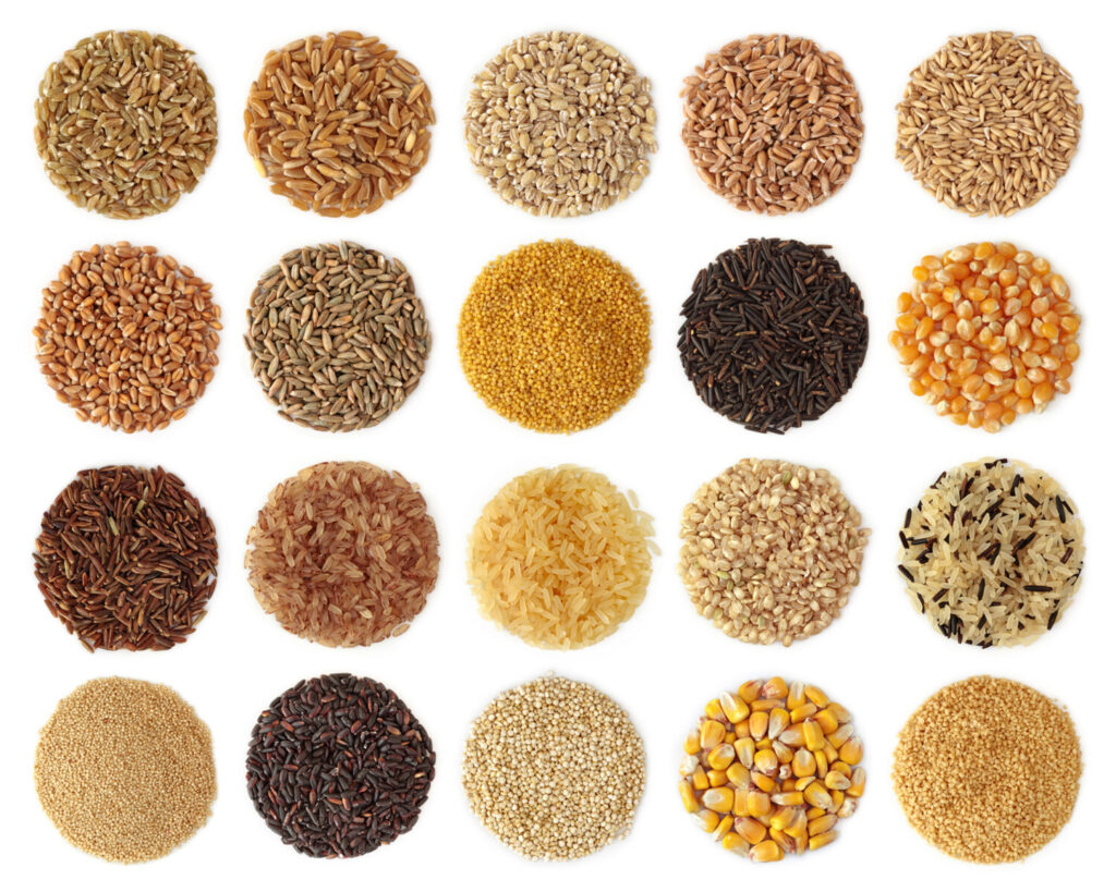 Collection of grains shaped in small circles