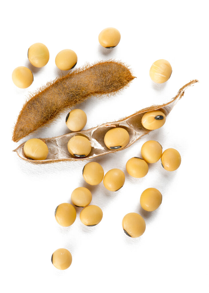 Dried organic soybeans