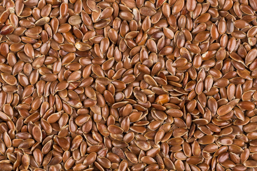 Close Up Background Image of Organic Flax