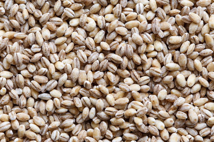 Close Up Background Image of Organic Barley